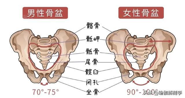 30天提臀计划：每天80次抬臀动作，改善臀部下垂外扩