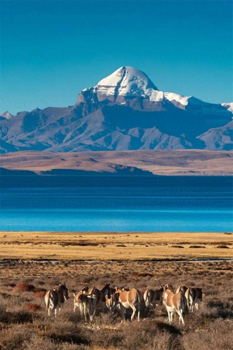 国内自驾游最经典的27条路线，适合退休人士，争取一年走2条！