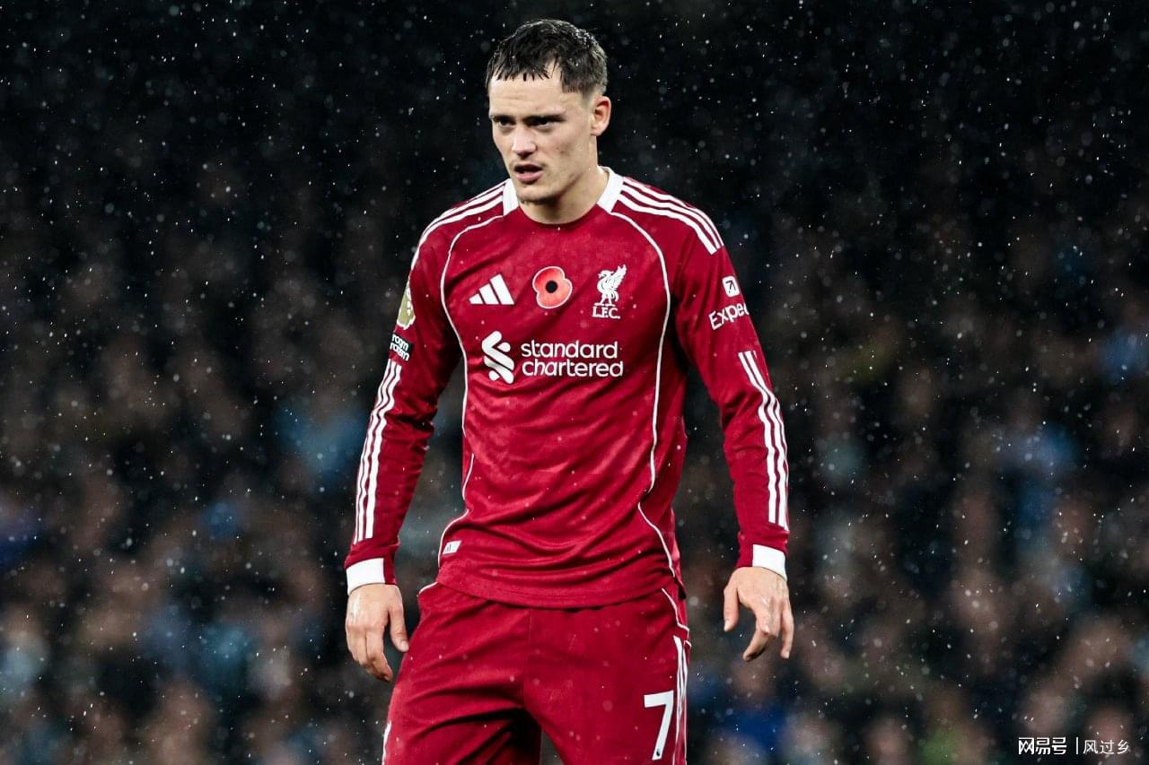 维尔茨数据统计