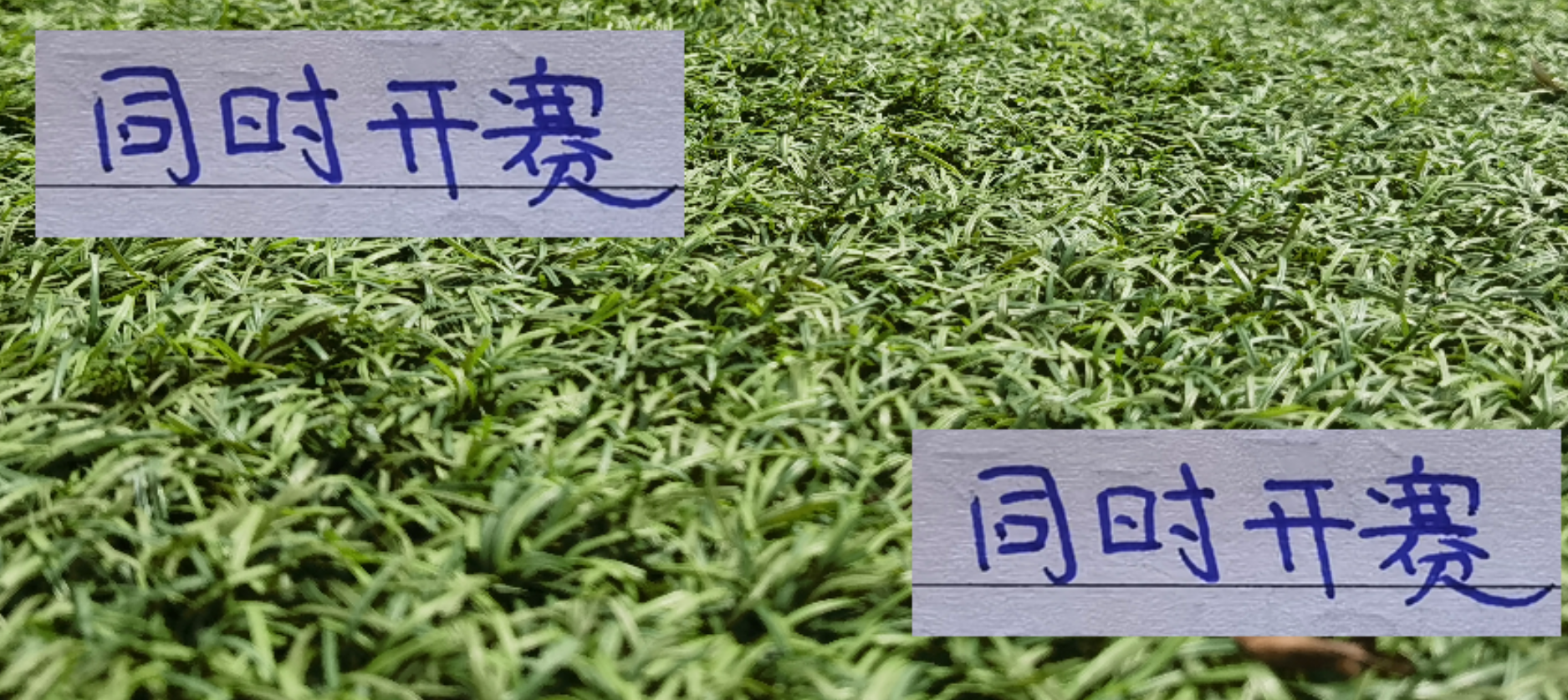 中超末轮：申花海港同时开赛，冠军悬念谁主沉浮？