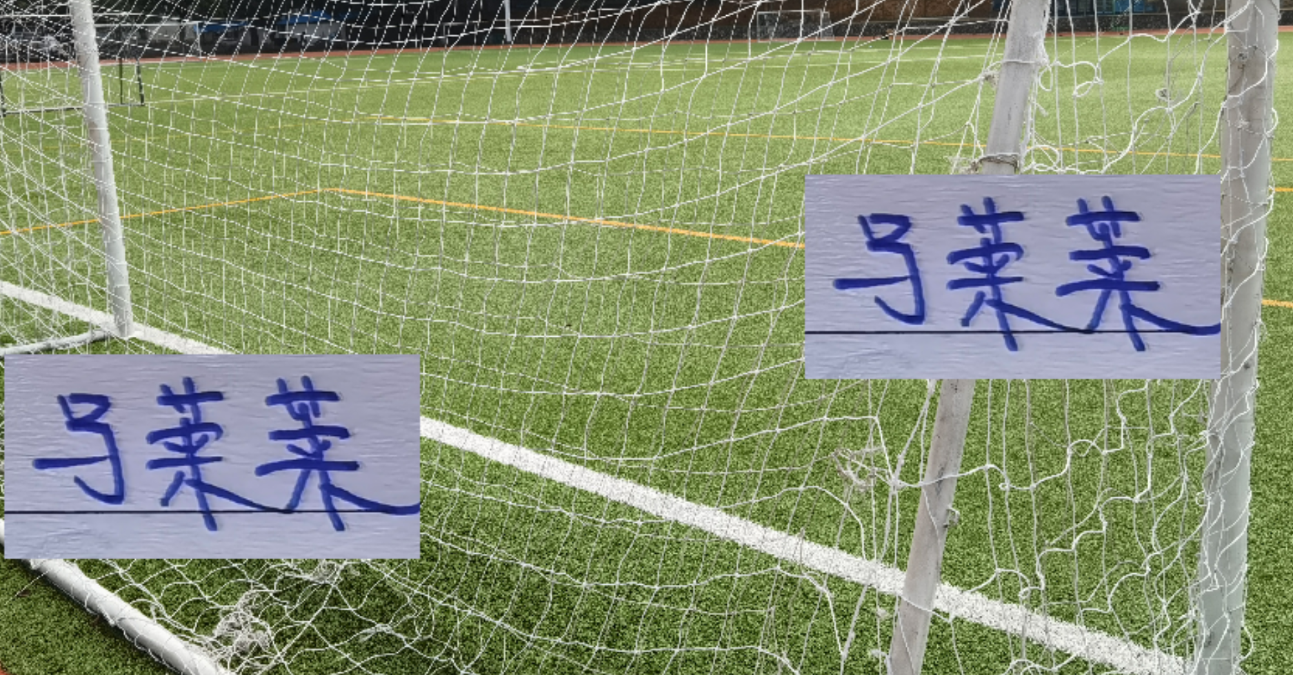 大连英博马莱莱伤情成谜，海港加布里复出待定