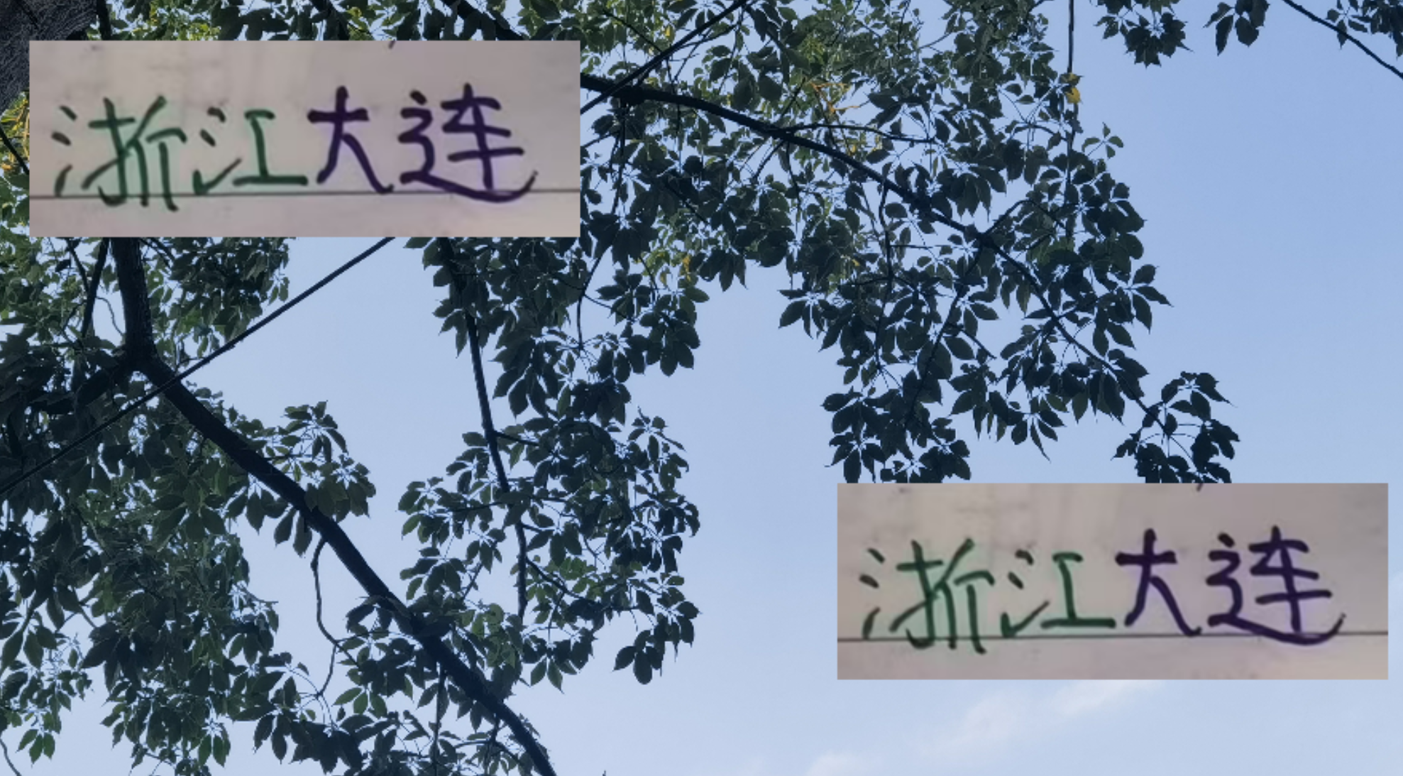 中超联赛末段洗牌：浙江大连外援去留成谜，申花核心能否续约