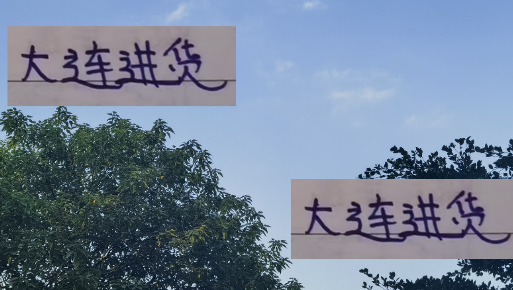 2025大连英博引援观察：海港刘主任亮眼，申花旧将马莱莱表现引争议