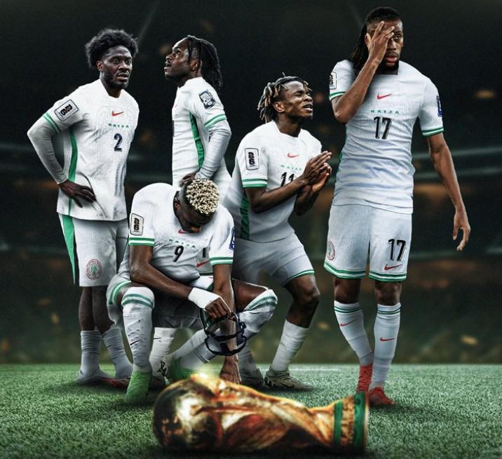 尼日利亚足协就连续两届无缘世界杯向总统及民众致歉