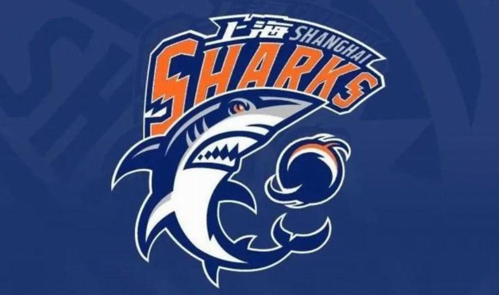 上海男篮2025-2026赛季引援：怀特塞德等三外援加盟，续约洛夫顿