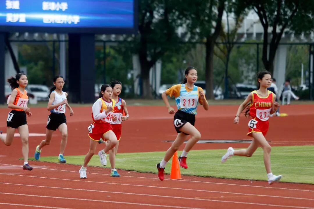 浙江省平湖市青少年运动会：拒绝毒品与兴奋剂，守护健康公平