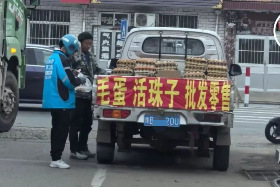 招远市民注意！警惕外地流动车售卖低价劣质毛蛋骗局