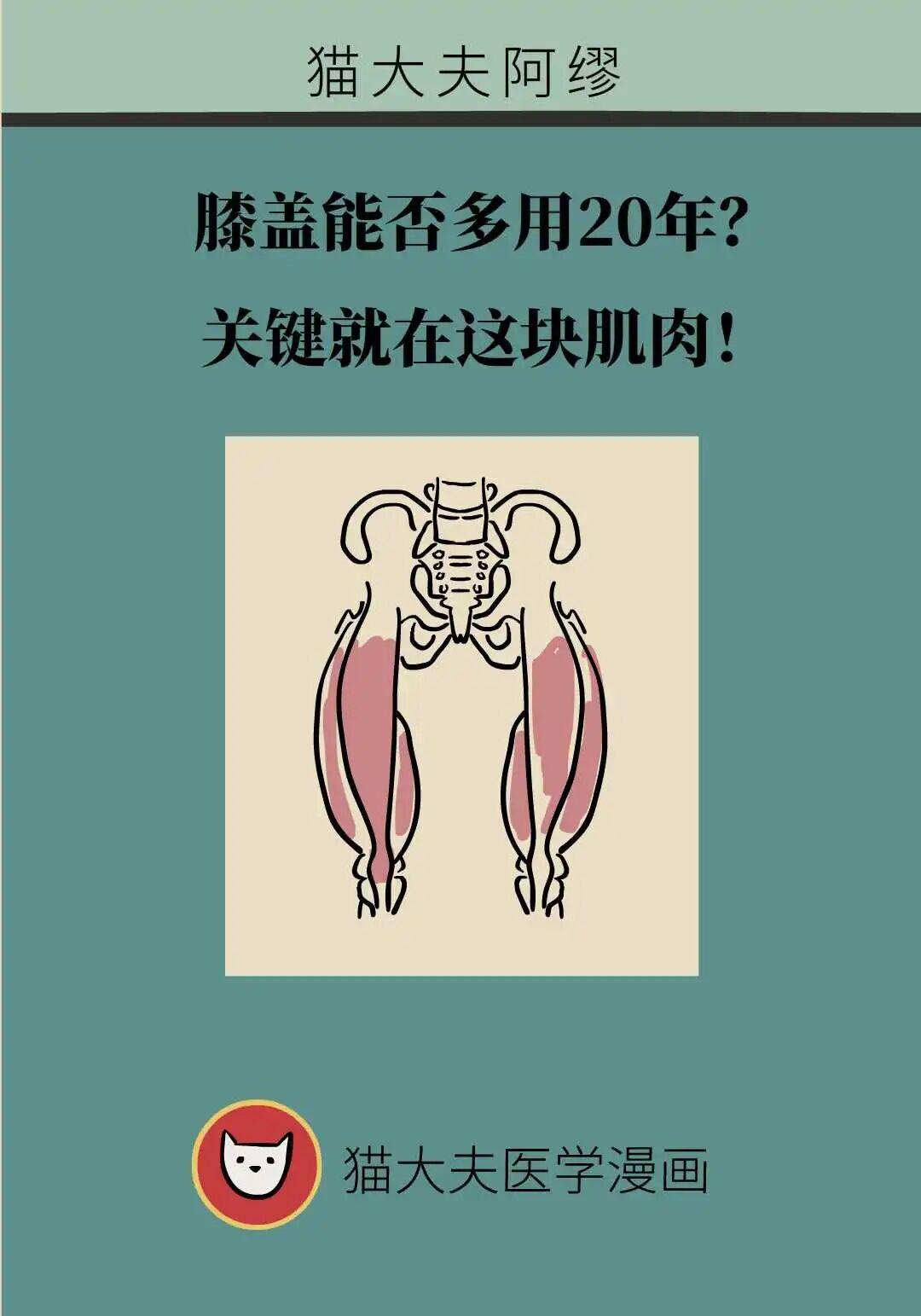 膝盖寿命延长20年？医生揭秘：关键在于这块肌肉与跑步方式