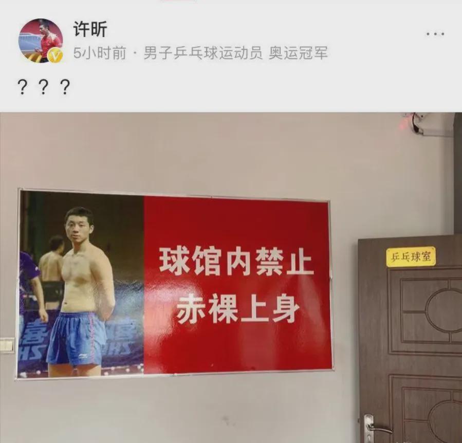 樊振东和他的尖子班，勇闯地表最强乒乓球赛