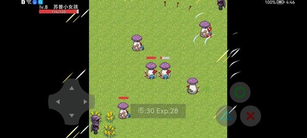 惩罚恶人0.5游戏
