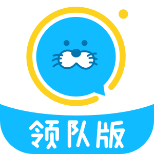进圈领队版安装