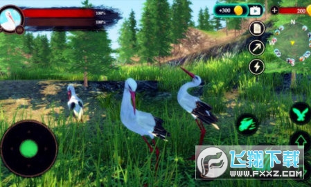 仙鹤模拟器中文版(The White Stork)