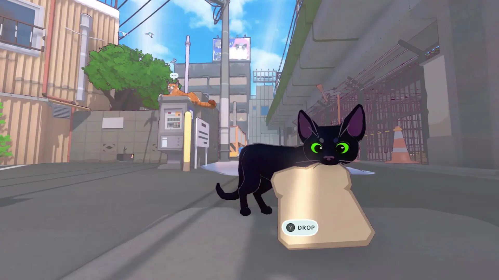 小猫咪大城市模拟器最新版2024