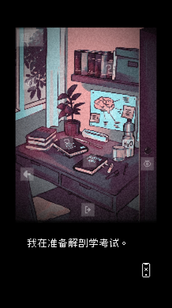 抬头只见天花板完整版