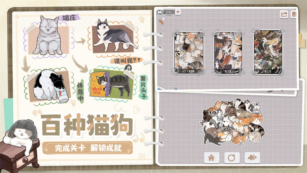挤在一起的猫猫游戏无广告版