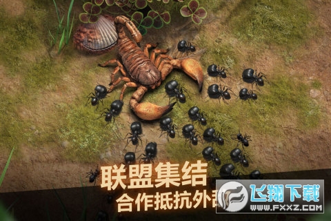 小小蚁国国服正式版