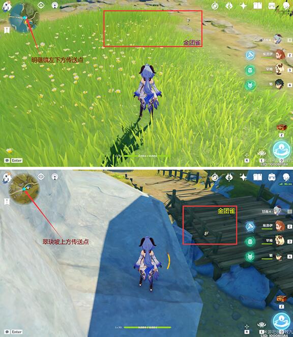 原神小动物捕捉位置大全