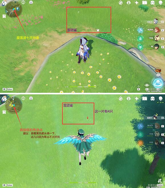 原神小动物捕捉位置大全