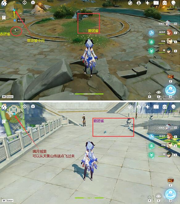 原神小动物捕捉位置大全