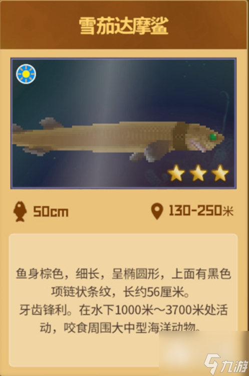 潜水员戴夫雪茄达摩鲨在哪儿
