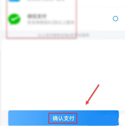 网上国网支付确认