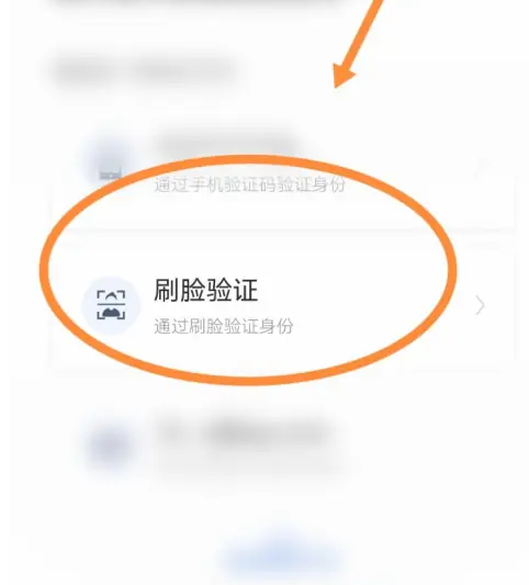 刷脸验证界面