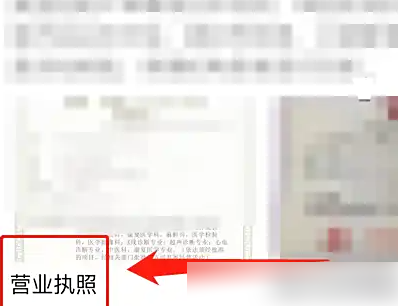 营业执照查看界面