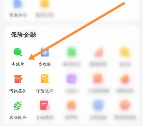 中国人保APP查保单选项