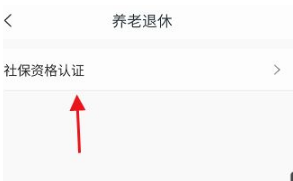 养老金资格认证入口