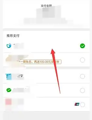 微店支付方式选择界面