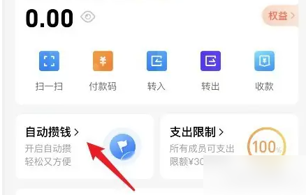 自动攒钱选项入口