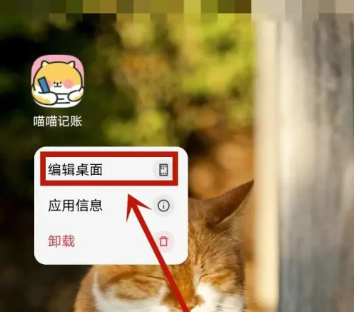 喵喵记账编辑桌面界面