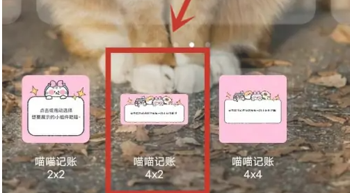 喵喵记账大尺寸猫咪显示效果