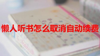懒人听书会员管理界面