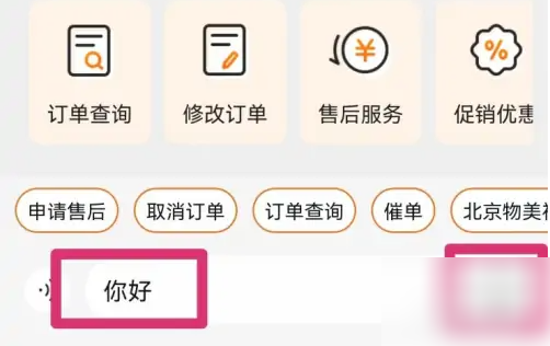 客服对话界面