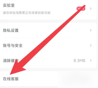 淘票票在线客服入口