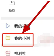 我的小说入口