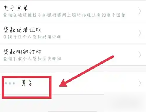更多功能选项