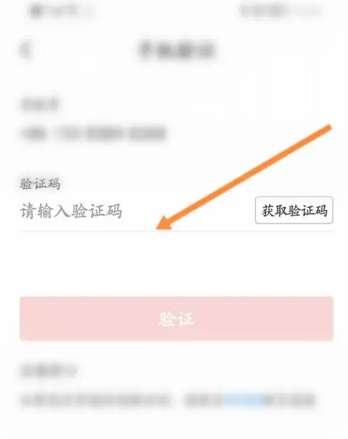验证码输入页面
