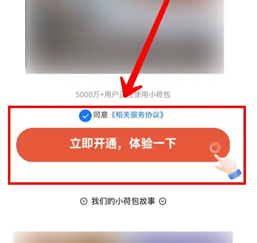 支付宝小荷包开通按钮
