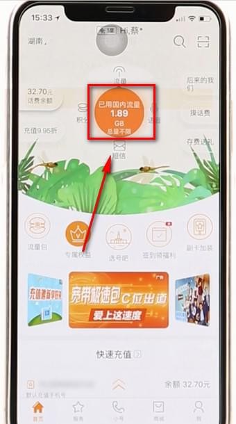 语音查询入口